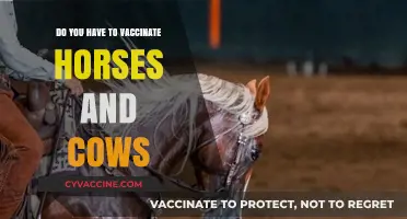 Horse and Cattle Vaccinations: What You Need to Know
