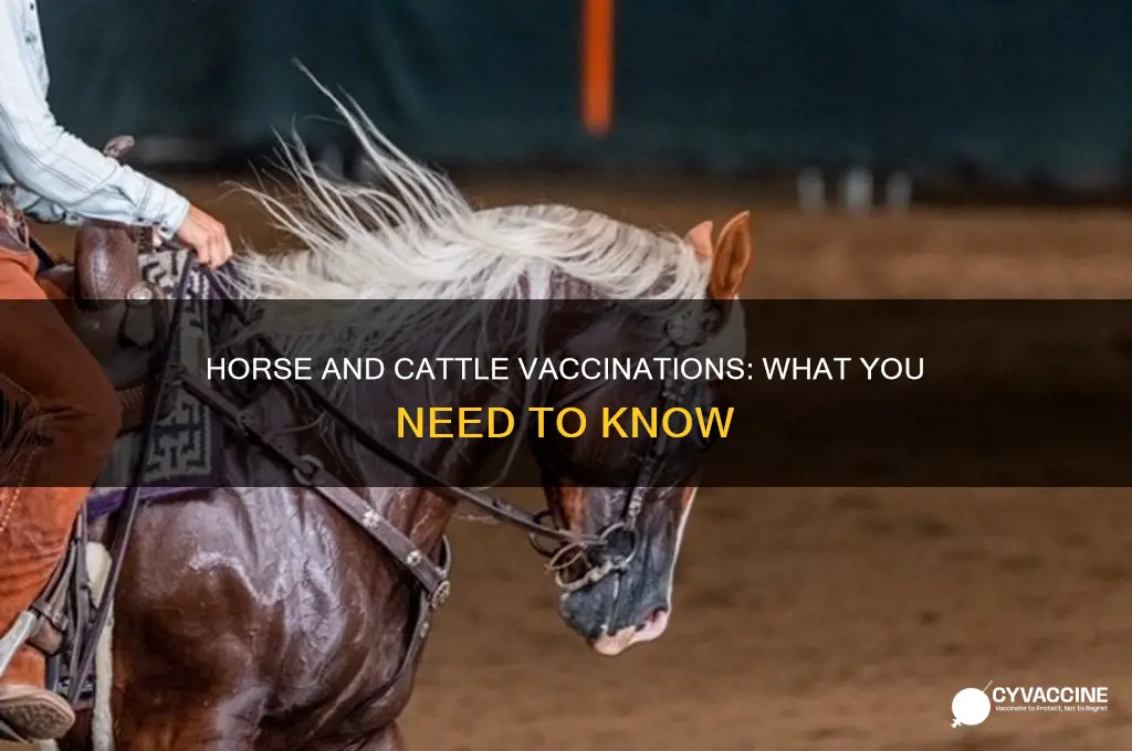 do you have to vaccinate horses and cows