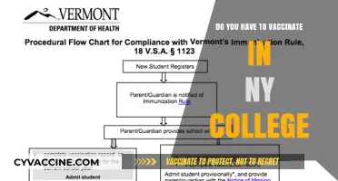 College Vaccination Rules in New York