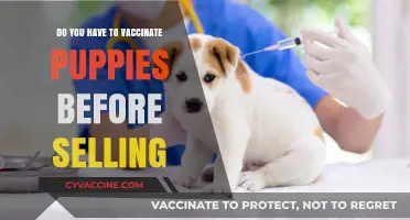 Puppy Vaccinations: What's Needed Before Selling?