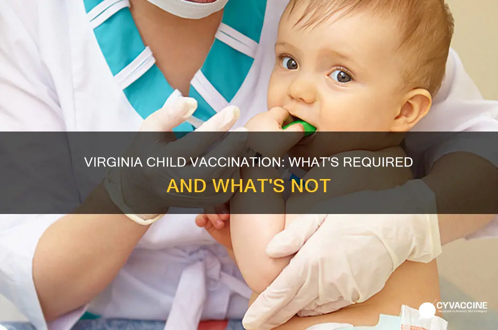 do you have to vaccinate your child in virginia
