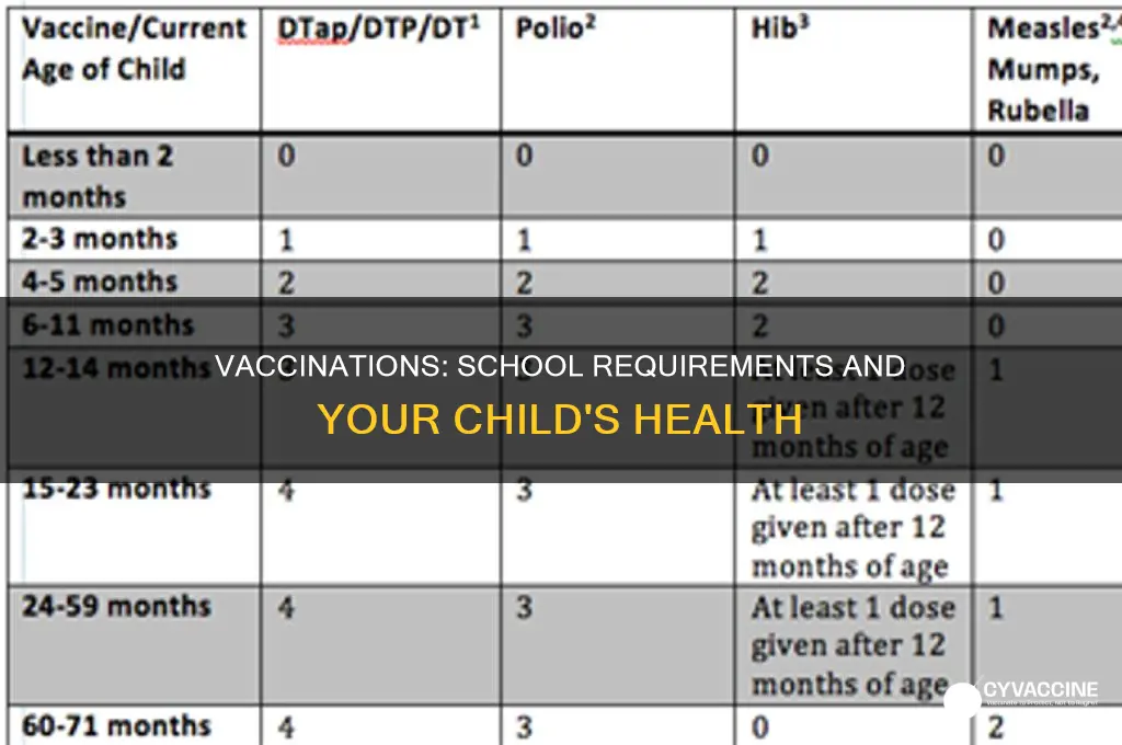do you have to vaccinate your kids for school