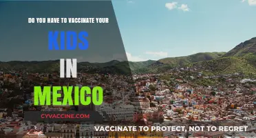 Vaccinating Your Kids in Mexico: What's the Law?