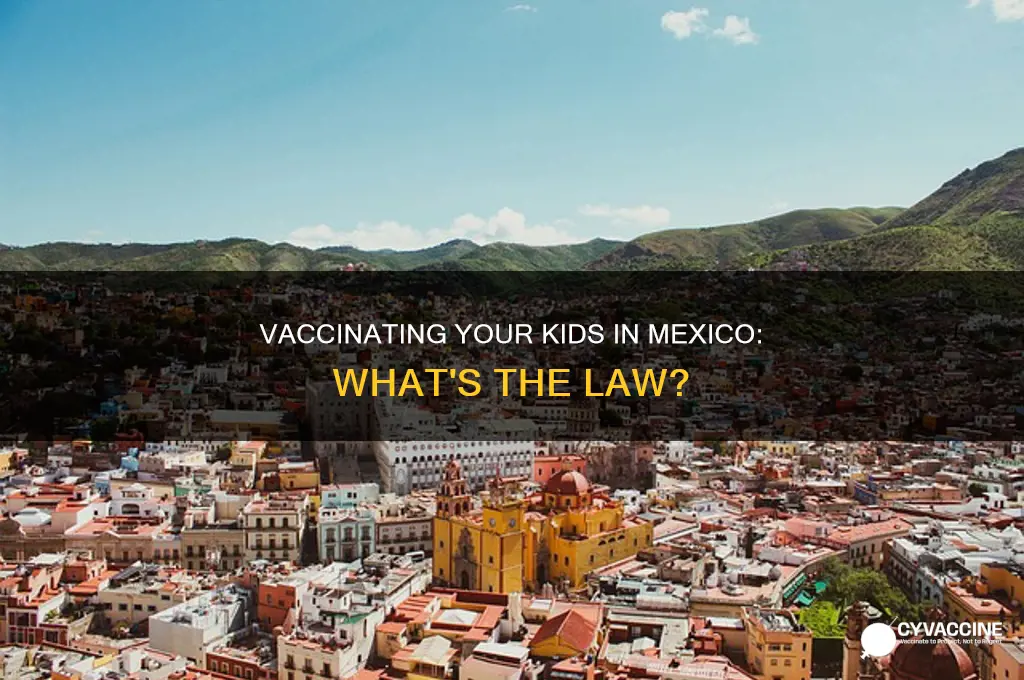 do you have to vaccinate your kids in mexico