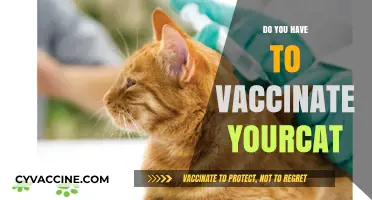 Should You Vaccinate Your Cat? Essential Health Considerations for Pet Owners