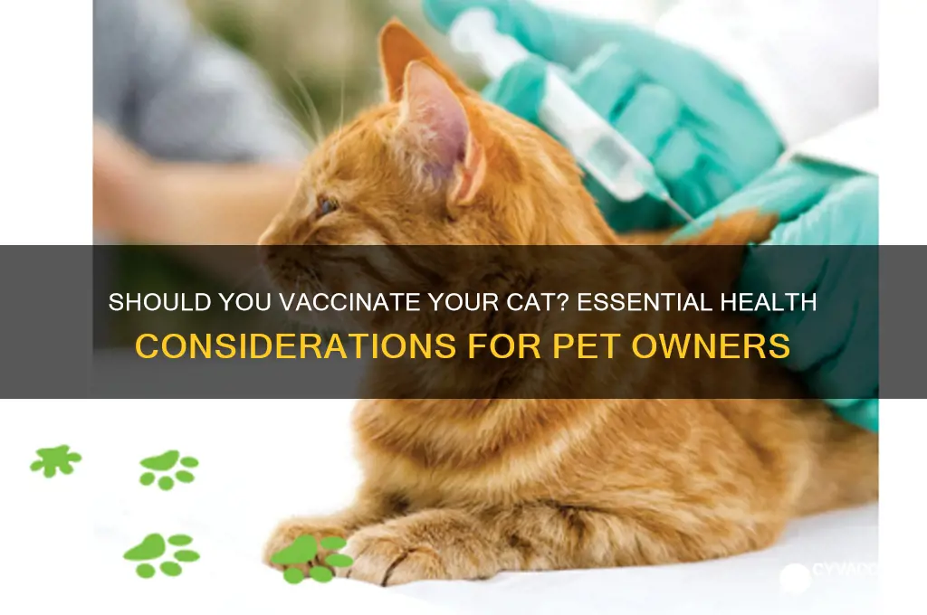 do you have to vaccinate yourcat