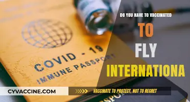 International Travel: Vaccine Requirements for Flying