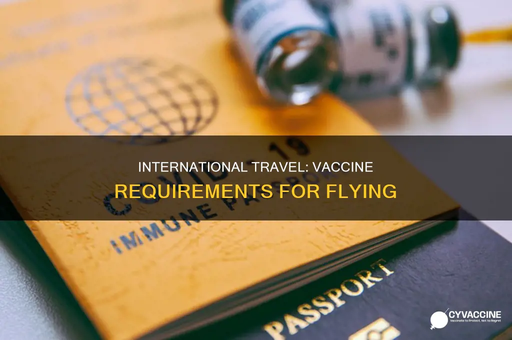 do you have to vaccinated to fly internationally