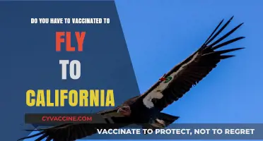 Flying to California? Vaccine Requirements and Travel Tips