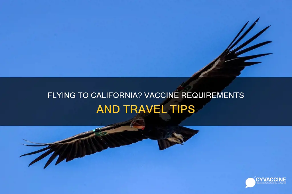 do you have to vaccinated to fly to california
