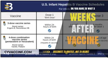 Vaccine Wait Times: How Long After the Jab?