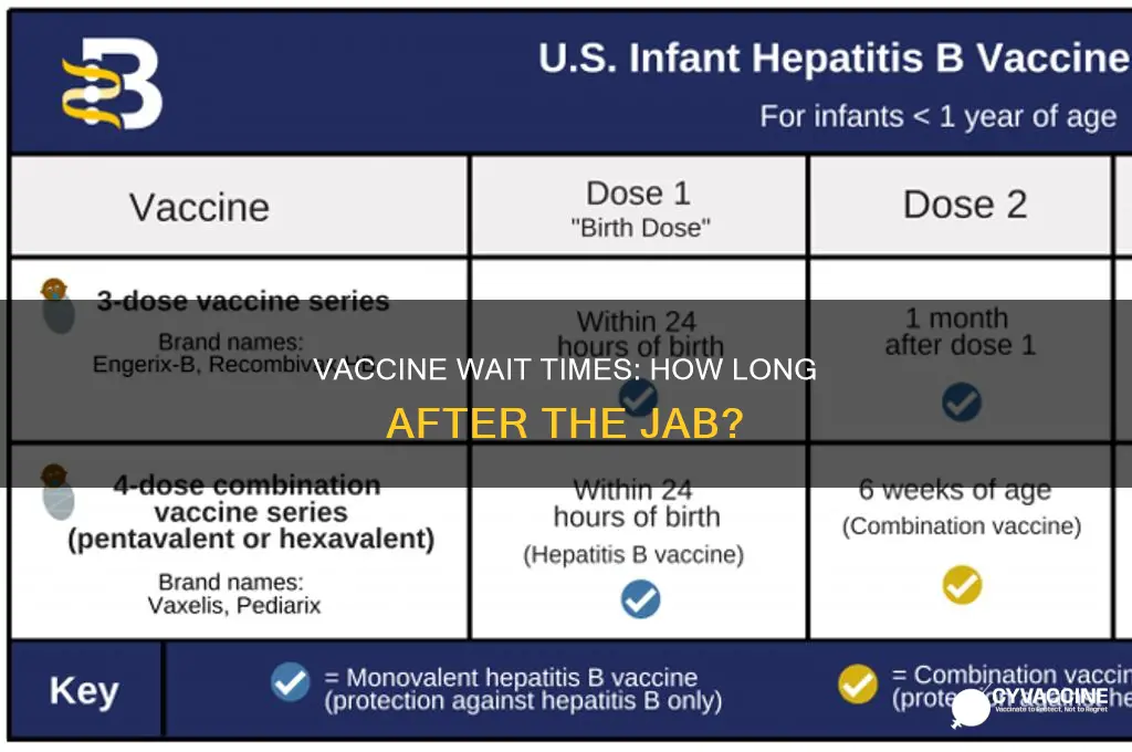 do you have to wait 2 weeks after vaccine