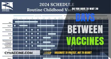 Vaccine Timing: How Long Between Doses?
