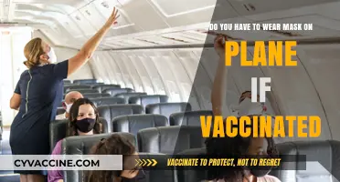 Air Travel and Masks: Vaccinated, but Masked?