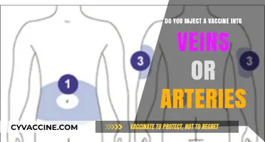 Vaccine Administration: Veins, Arteries, and Injection Sites