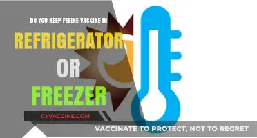 Feline Vaccine Storage: Fridge or Freezer?
