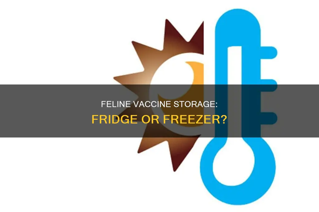 do you keep feline vaccine in refrigerator or freezer