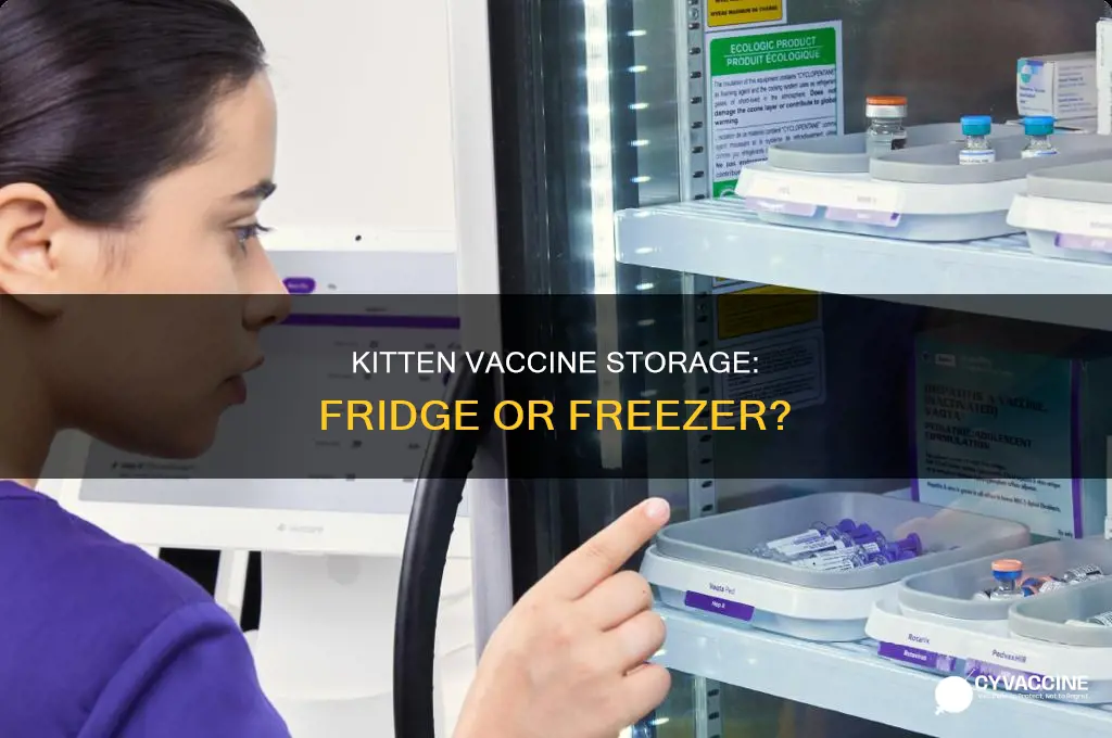 do you keep kitten vaccine in refrigerator or freezer