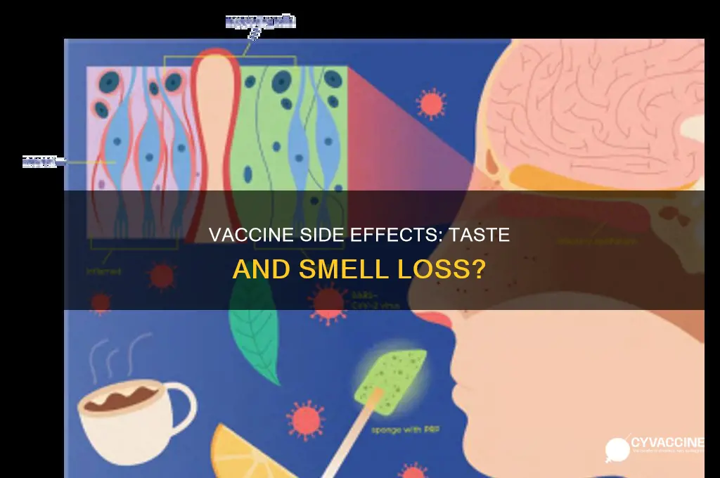 do you lose taste and smell after vaccine