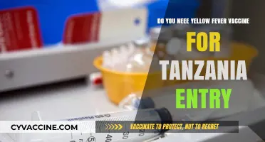 Yellow Fever Vaccine: Essential for Tanzania Entry?