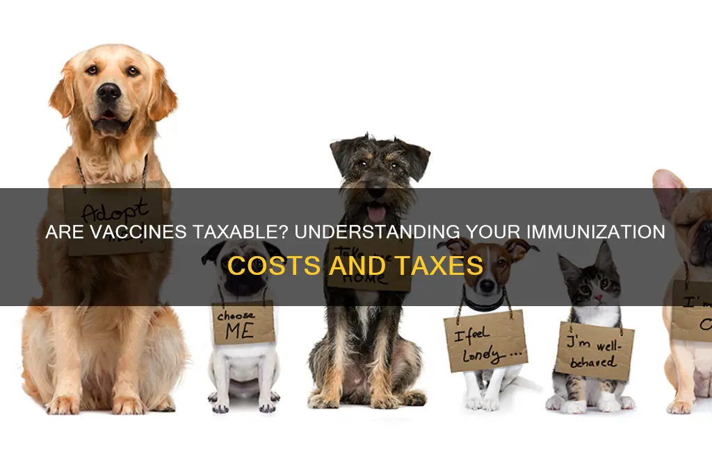 do you pay taxes on vaccines