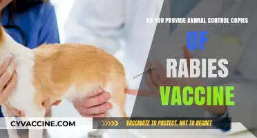 Rabies Vaccines: Animal Control and Your Pet's Health