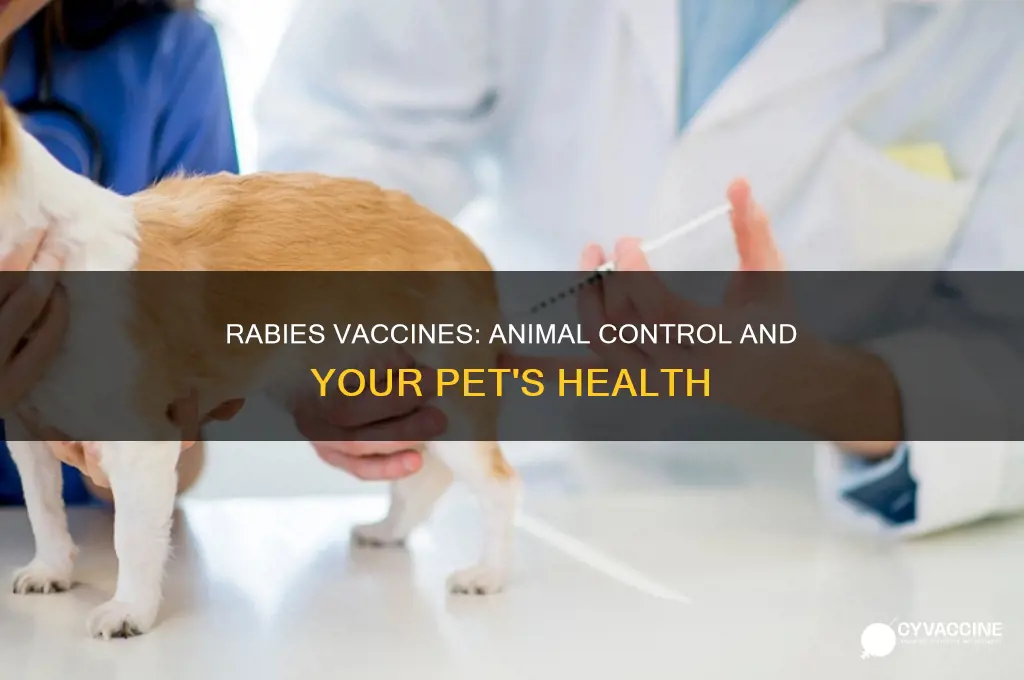 do you provide animal control copies of rabies vaccine