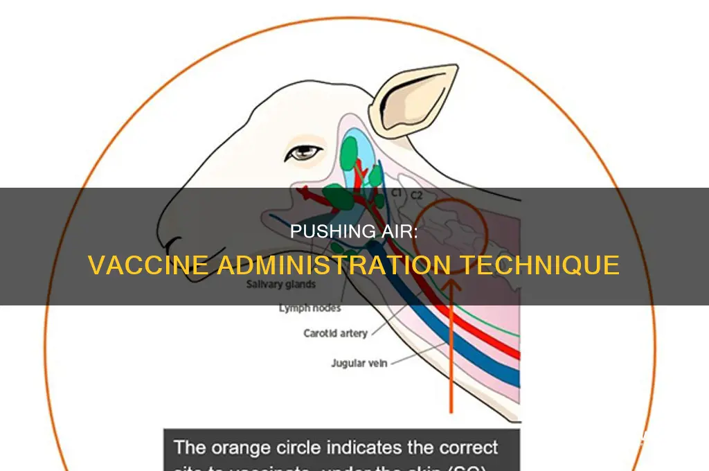 do you push out the air before giving a vaccine