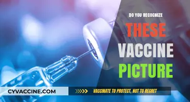 Recognize These Vaccine Pictures? A Visual Guide to Common Vaccines