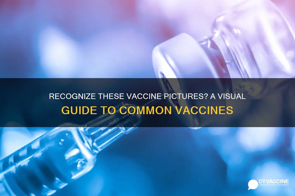do you recognize these vaccine picture