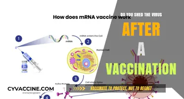 Vaccination and Virus Shedding: What You Need to Know