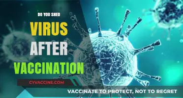 Can You Shed Viruses After Vaccination? Debunking Myths and Facts