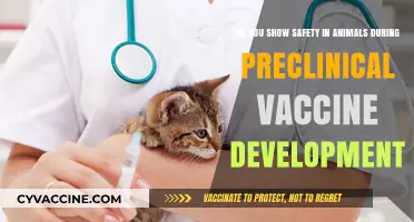 Vaccine Safety: Animal Testing in Preclinical Trials