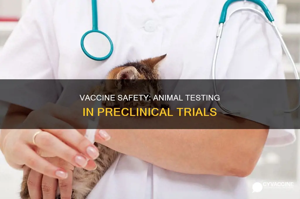 do you show safety in animals during preclinical vaccine development
