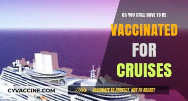 Cruise Vaccination Requirements: What You Need to Know