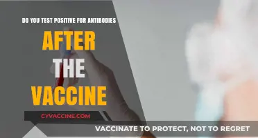 Vaccines and Antibodies: What's the Connection?