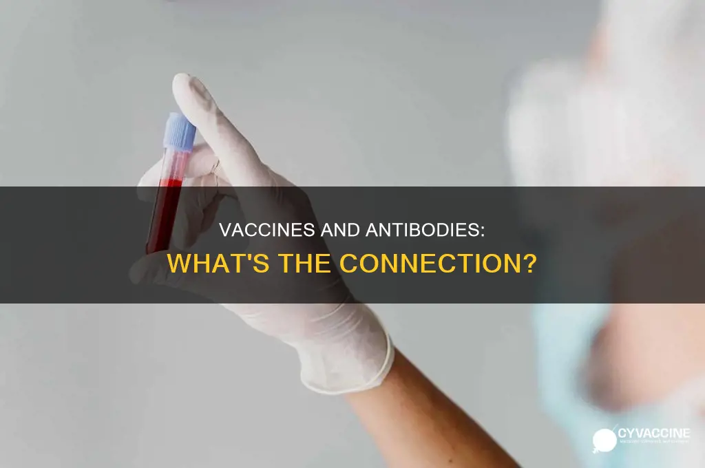 do you test positive for antibodies after the vaccine