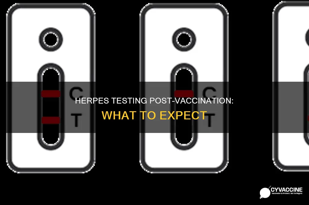 do you test positive for herpes after vaccination