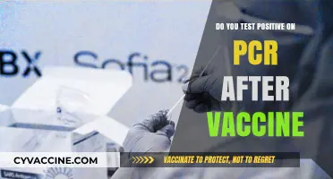 PCR tests: Post-vaccine positive or negative?