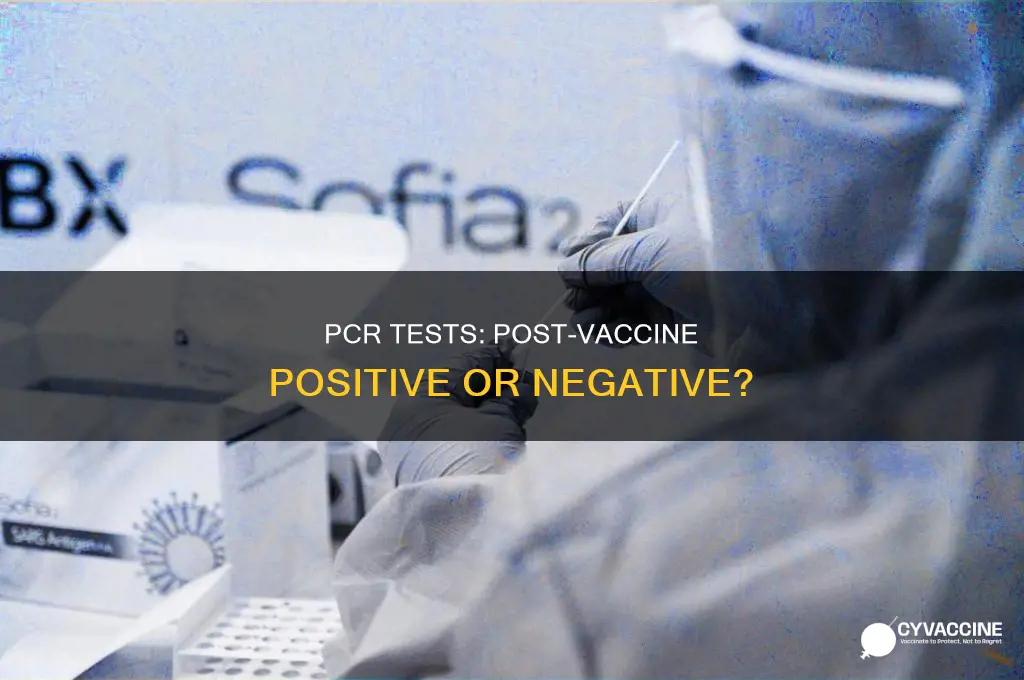 do you test positive on pcr after vaccine