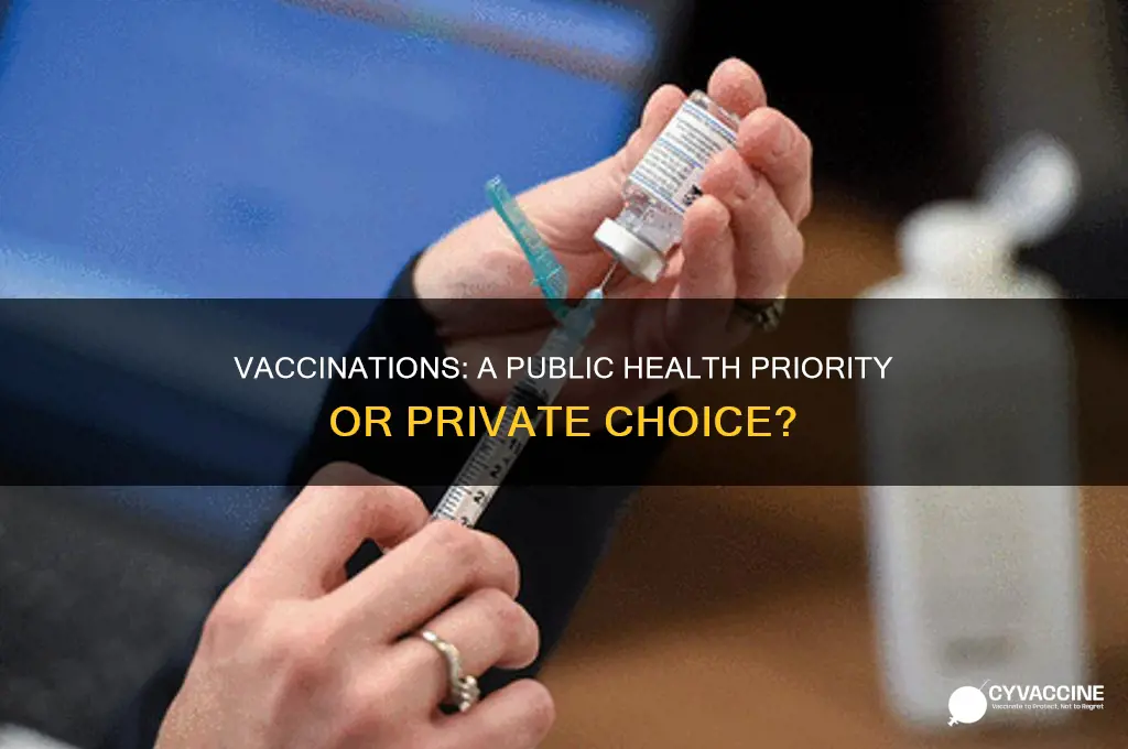 do you think vaccinations are public health issues
