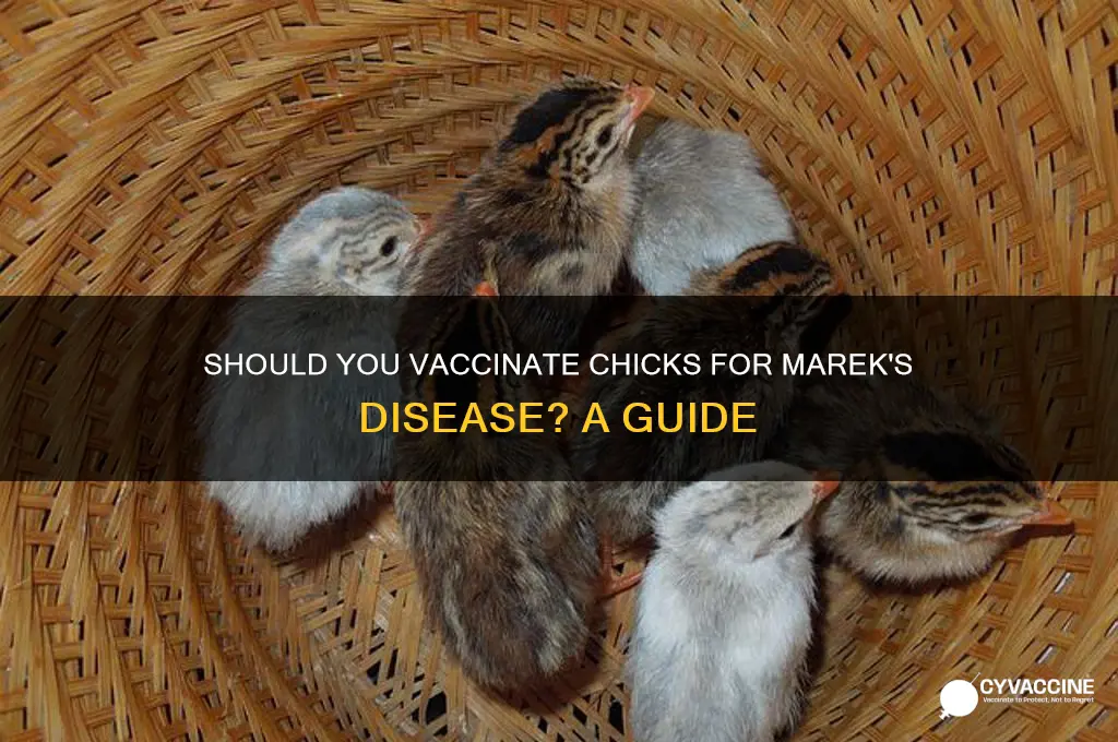 do you vaccinate chicks for mareks