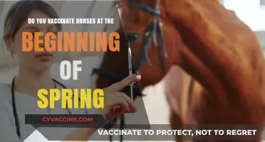 Spring Horse Care: Vaccination and Wellness