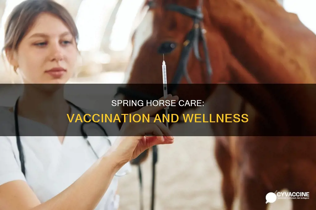 do you vaccinate horses at the beginning of spring