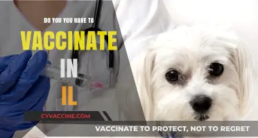 Illinois Vaccination Requirements: What You Need to Know