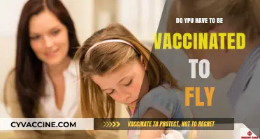 Air Travel and Vaccination: What's the Connection?
