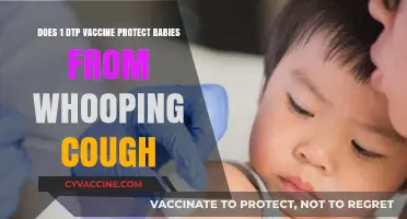 Vaccine Protection: DTP and Whooping Cough in Babies
