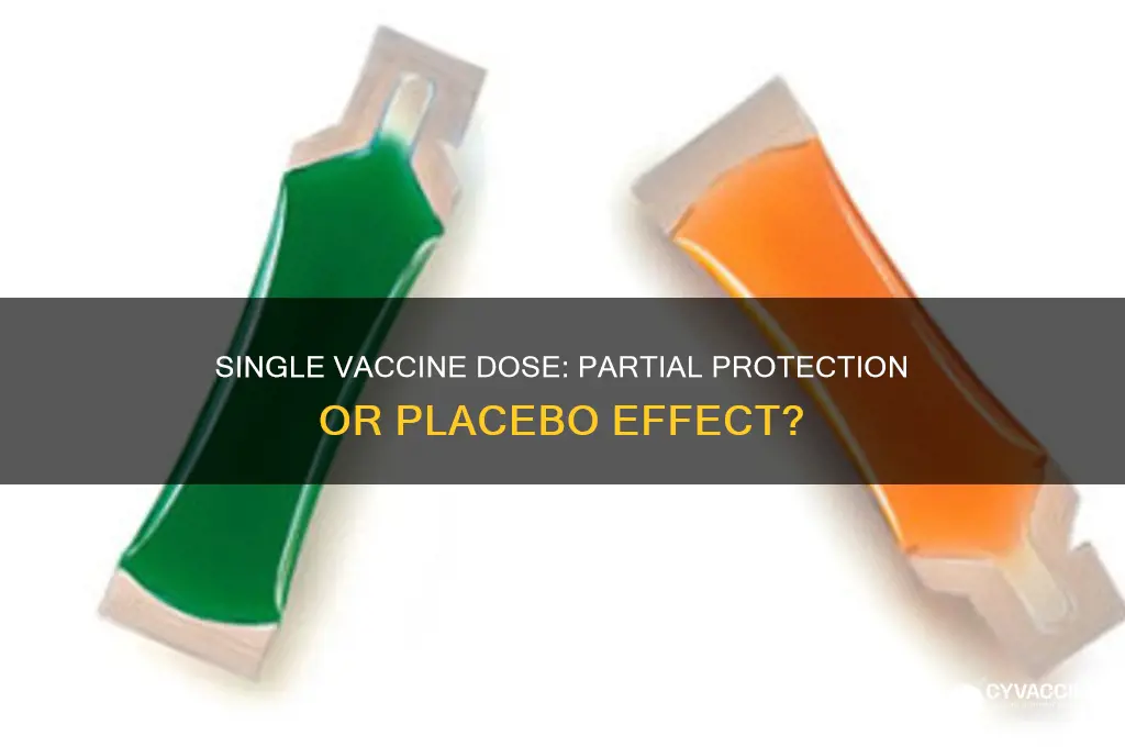 does 1 vaccine shot offer protection