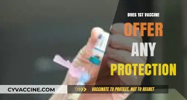 First Vaccine Dose: Does It Provide Any Protection Against COVID-19?