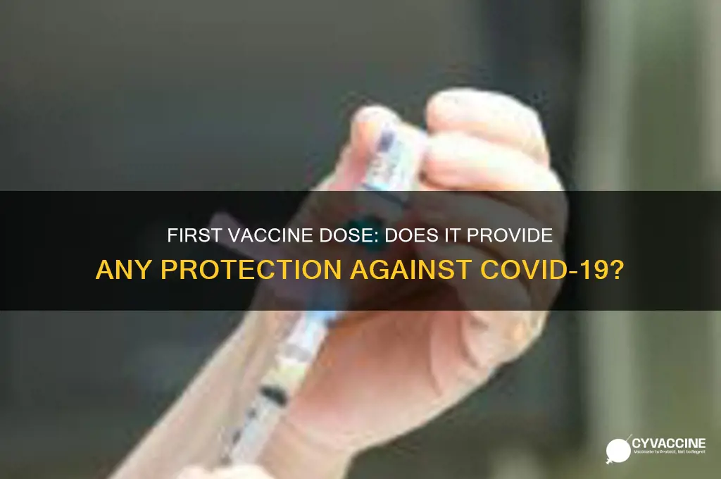 does 1st vaccine offer any protection